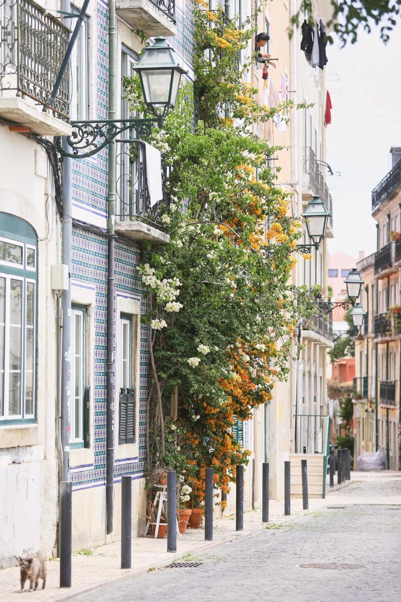 Bica Little House By Spoton Apartments Lisbon Bilik gambar